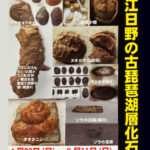 企画展「近江日野の古琵琶湖層化石」展