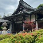 雲迎寺のさつき　開花状況（5月27日撮影）