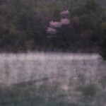 第37回「日野観光写真コンクール入賞作品展」開催(12月9日~26日)